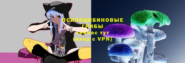 MDMA Заводоуковск