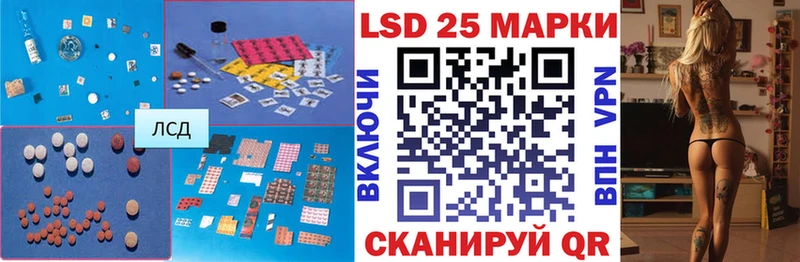 Купить  Черноголовка  LSD-25 экстази ecstasy 