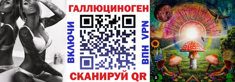 Купить закладки  Черноголовка  Псилоцибиновые грибы MAGIC MUSHROOMS 