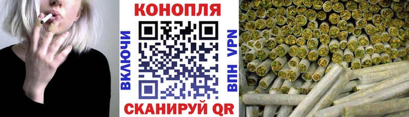 Купить  Черноголовка  Шишки марихуана план 